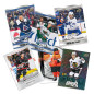 Cartes collection UPPER DECK MVP Saison Hockey NHL 2024-25 Cartes collection UPPER DECK MVP Saison Hockey NHL 2024-25